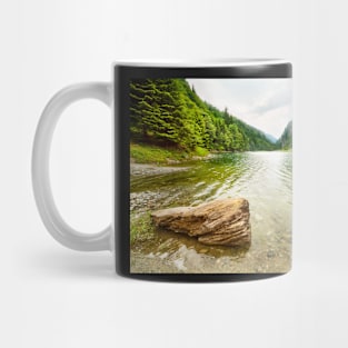 Petrimanu Lake in Romania Mug